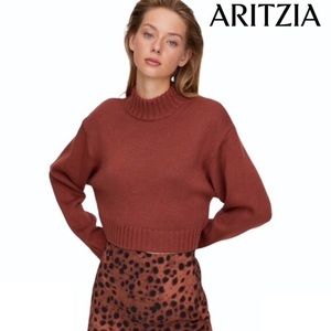 Aritzia cropped turtleneck sweater